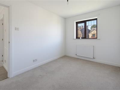 Picture 24